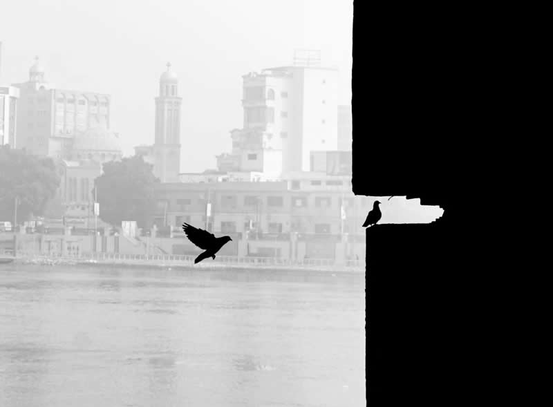 Black-and-white photograph of a bird flying across a riverside cityscape while another bird perches within a dark architectural frame. High contrast, negative space, and precise timing create a dramatic composition centered on motion and stillness.