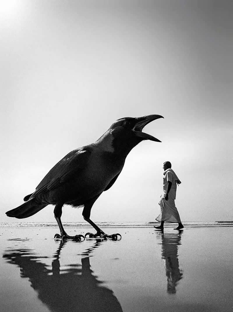 Black-and-white photograph of a crow appearing giant due to forced perspective, standing on wet reflective ground while a man walks in the background. Low-angle composition, dramatic scale contrast, and reflections create a striking and perfectly timed street photography moment.