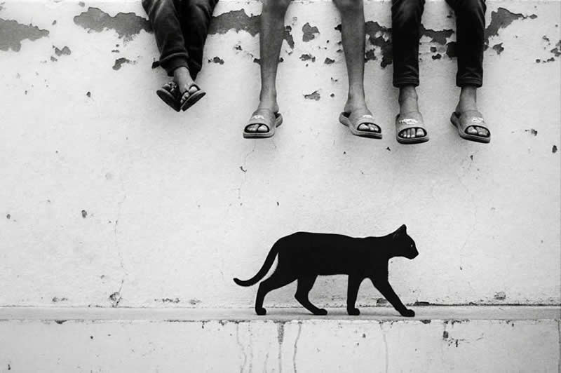 Black-and-white street photograph showing a cat walking along a wall beneath the dangling legs of several seated people. Clean lines, geometric spacing, strong contrast, and perfect timing create a minimalist and visually striking composition.