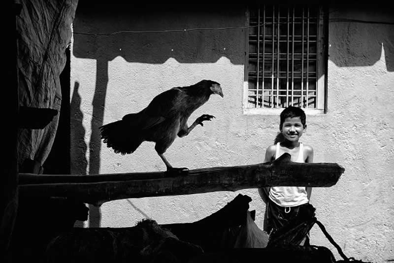 Black-and-white street photograph featuring a crow perched on a wooden beam with one claw raised, while a smiling child stands in the background. Dramatic light, deep shadows, and precise timing create a compelling composition full of character and contrast.