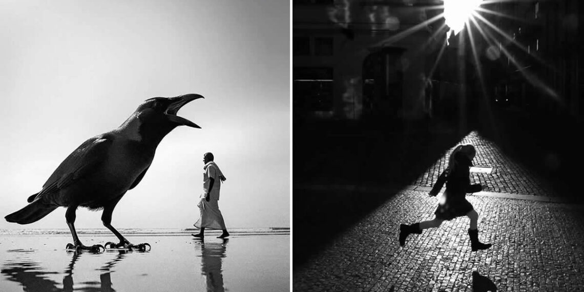 Stunning Street Photos Taken at Exactly the Right Moment