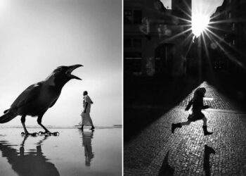 The Art of Perfect Timing: 31 Stunning Street Photos Taken at Exactly the Right Moment 63 Stunning Street Photos Taken at Exactly the Right Moment