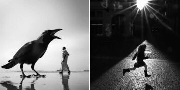 Stunning Street Photos Taken at Exactly the Right Moment