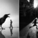 Stunning Street Photos Taken at Exactly the Right Moment