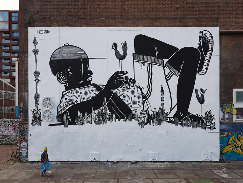 Galaxy - In cosmology, a galaxy is a large, gravitationally bound system consisting of stars - Thought-Provoking Murals by Alex Senna