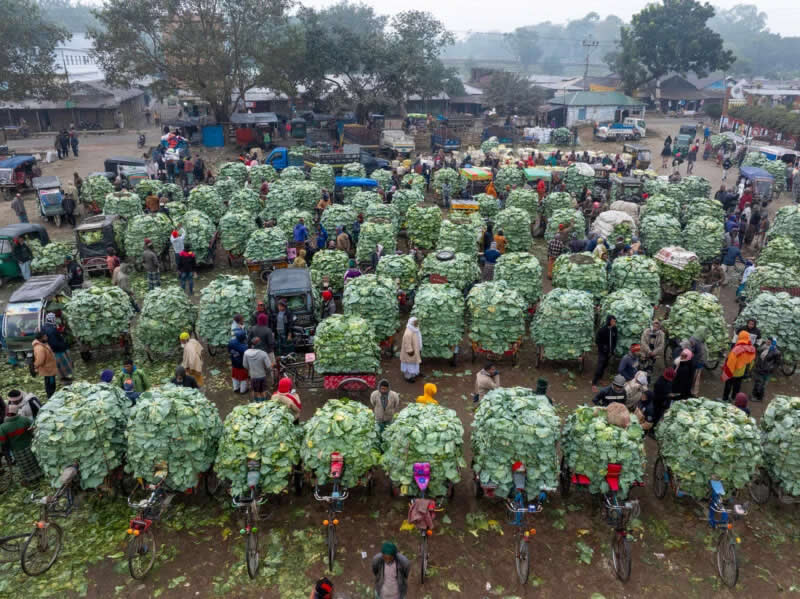 A large vegetable market in Mahasthangarh, Bangladesh. Winner of unearthed&reg; Food for Sale category. | Kazi Mohammad Golam Quddus/World Food Photography Awards sponsored by Bimi