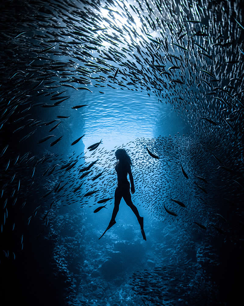 Connecting Oceans - 2nd Place: James Ferrara, USA - UN World Oceans Day Photo Contest 2026 Winners