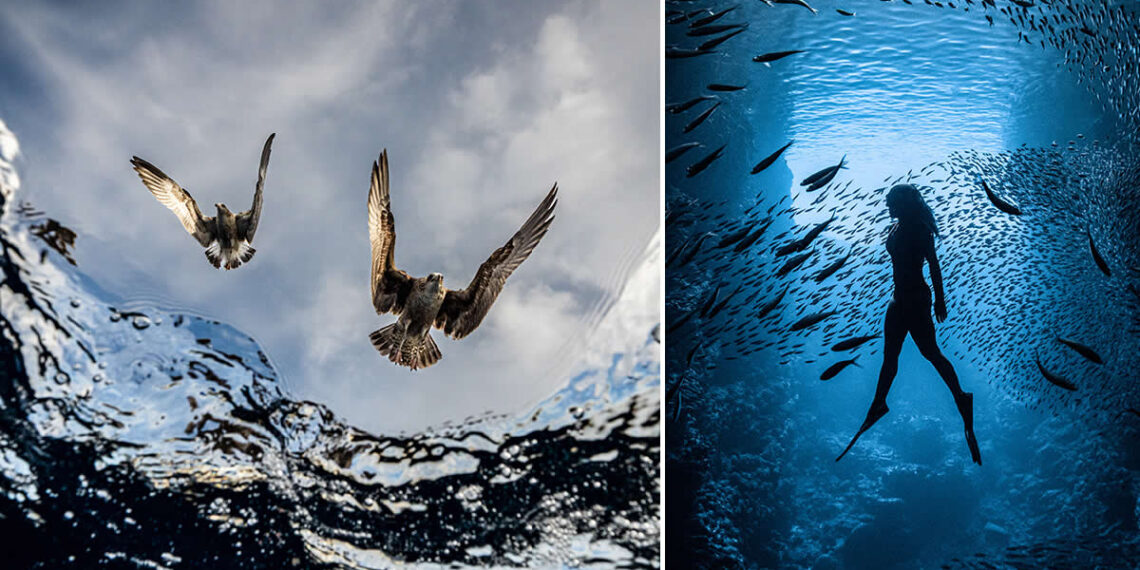 Winners of the UN World Oceans Day Photo Contest 2026