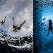 Winners of the UN World Oceans Day Photo Contest 2026