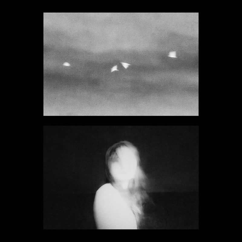 3rd Place Winner: Of Birds and Being by Tzion Essel, United Kingdom - AAP Magazine Awards 2026 Black and White Winners