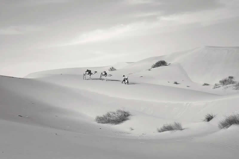 Drylands by Isabelle Kettner, Netherlands - AAP Magazine Awards 2026 Black and White Winners