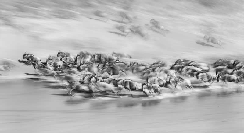 Monochrome Magic: 24 Winning Black and White Photos From the Academy Photo Awards 2026 34 Galloping by Xuejun Long, China - Academy Photo Awards 2026 Black and White Winners