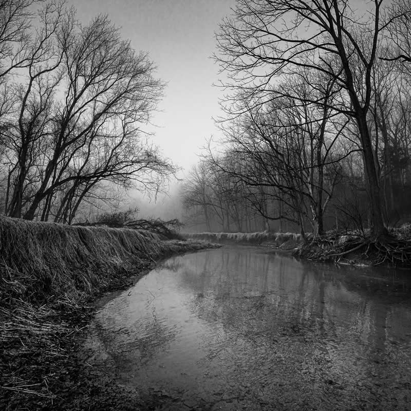 Monochrome Magic: 24 Winning Black and White Photos From the Academy Photo Awards 2026 39 Goshen Branch by Graham Bush, United States (US) - Academy Photo Awards 2026 Black and White Winners