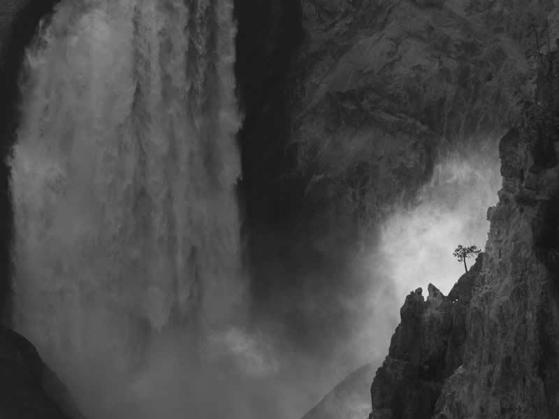 Monochrome Magic: 24 Winning Black and White Photos From the Academy Photo Awards 2026 42 Hanging in There by Kyle Moon, United States (US) - Academy Photo Awards 2026 Black and White Winners