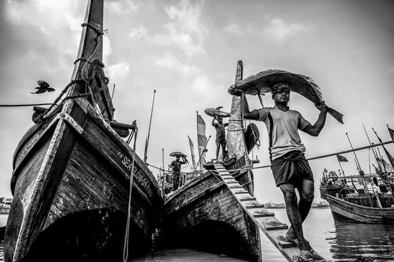 Monochrome Magic: 24 Winning Black and White Photos From the Academy Photo Awards 2026 45 Harvest of the Tide by Rayhan Ahmed, Bangladesh - Academy Photo Awards 2026 Black and White Winners