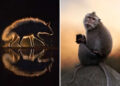 Wildlife Photos From the Academy Photo Awards 2026