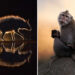 Wildlife Photos From the Academy Photo Awards 2026