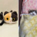 Cats Who Prove That Being Cute Is the Perfect Cover for Mischief