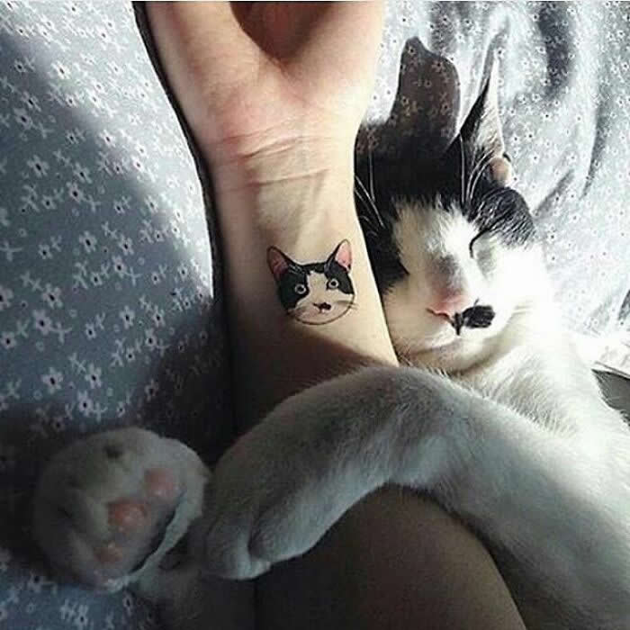 Hug for Your Soul: 36 Animal Photos So Cute They’ll Melt Your Stress Away 42 A black-and-white cat naps with its paw wrapped around a person’s arm, right beside a small tattoo of the cat’s face, creating a sweet and funny moment of closeness and affection.