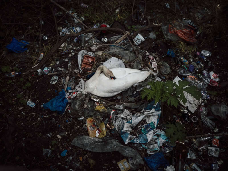 The Next Generation of Photography: 20 Winning Images From AOP Student Awards 2026 25 Places Category - Gold Winner: Swan Lake by Lorena Bujalance Jimenez, City Of Glasgow College – HND Photography - AOP Student Awards 2026 Winners