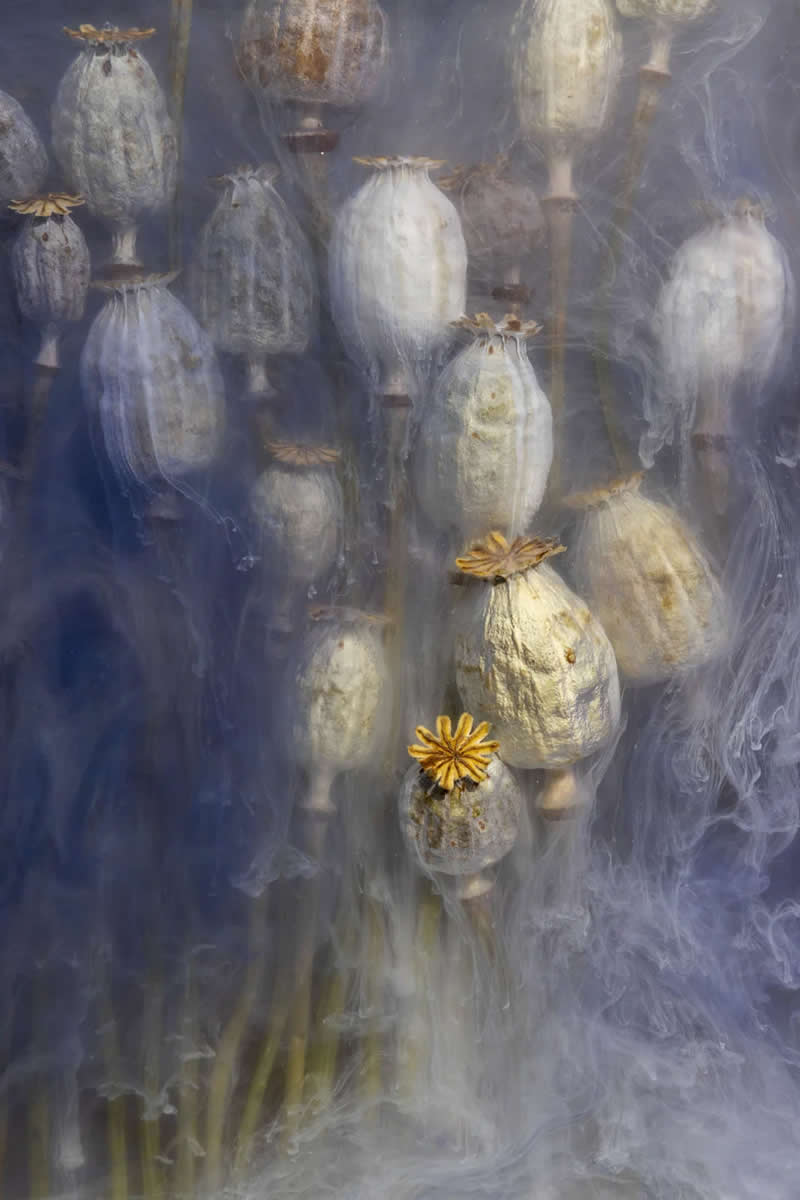 The Next Generation of Photography: 20 Winning Images From AOP Student Awards 2026 29 Finalist: Mariam Yaqub - AOP Student Awards 2026 Winners