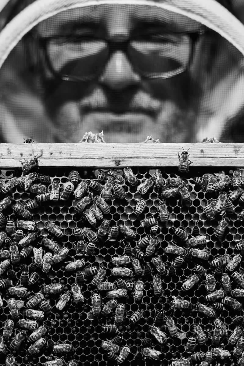 The Next Generation of Photography: 20 Winning Images From AOP Student Awards 2026 32 Finalist: Phil Crow - AOP Student Awards 2026 Winners