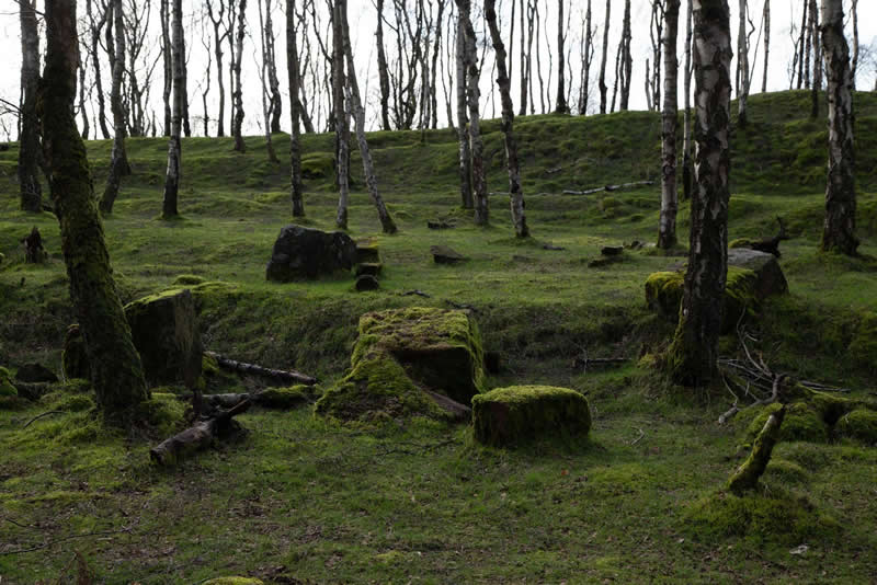 The Next Generation of Photography: 20 Winning Images From AOP Student Awards 2026 34 Finalist: L.C. Daniels - AOP Student Awards 2026 Winners