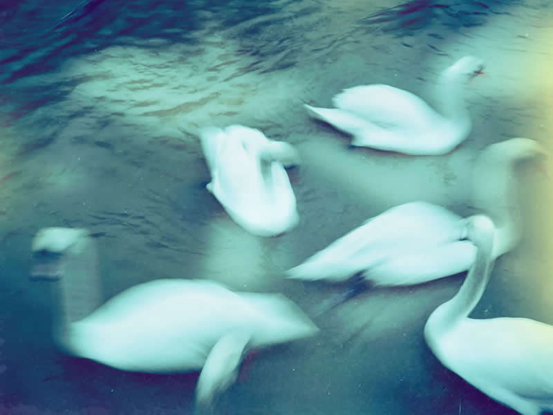 The Next Generation of Photography: 20 Winning Images From AOP Student Awards 2026 36 Finalist: Xinyi Yang - AOP Student Awards 2026 Winners