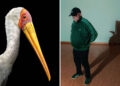 The Next Generation of Photography: 20 Winning Images From AOP Student Awards 2026 18 AOP Student Awards 2026 Winners
