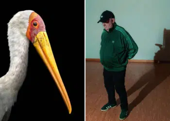 The Next Generation of Photography: 20 Winning Images From AOP Student Awards 2026 24 AOP Student Awards 2026 Winners