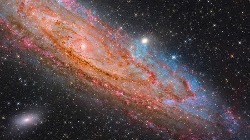 The Crimson Vortex and Sapphire Blossoms of Andromeda by Chuhong Yu and Zuoming Wang - Zhuanghe City, Liaoning Province, China - Astronomy Photographer of the Year 2026 shortlists