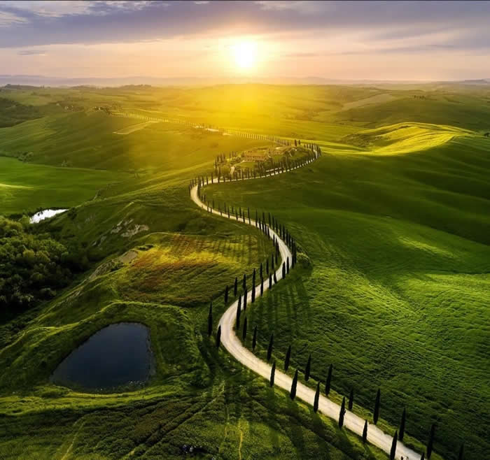 Beauty of the Earth: 33 Epic Landscape Views That Prove Nature Is the Greatest Artist 38 A winding road lined with tall trees curves through rolling green hills at sunset, with golden light spreading across the landscape and small ponds visible in the foreground.