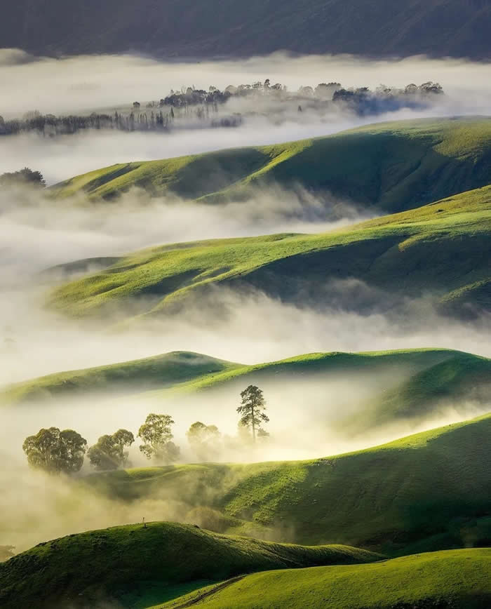 Beauty of the Earth: 33 Epic Landscape Views That Prove Nature Is the Greatest Artist 42 Soft mist drifts across rolling green hills with scattered trees, creating layered patterns and a dreamy landscape under gentle early light.