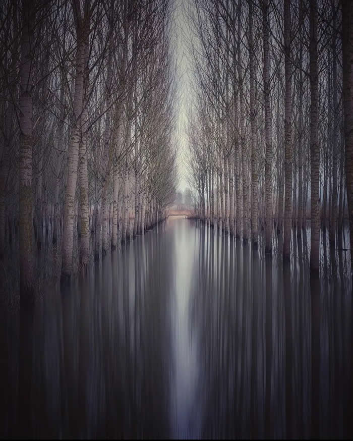 Beauty of the Earth: 33 Epic Landscape Views That Prove Nature Is the Greatest Artist 47 Rows of leafless trees stand in still floodwater, forming a symmetrical corridor with soft reflections and a pale opening of light in the distance.