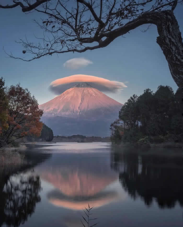 Beauty of the Earth: 33 Epic Landscape Views That Prove Nature Is the Greatest Artist 58 Mount Fuji rises beyond a calm lake at dawn, topped by a pink lenticular cloud and reflected in still water, with dark trees and overhanging branches framing the scene.