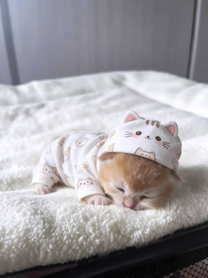 A tiny orange kitten naps on a fluffy white blanket while wearing a soft hooded onesie printed with cartoon cat faces, looking unbelievably cozy and adorable.