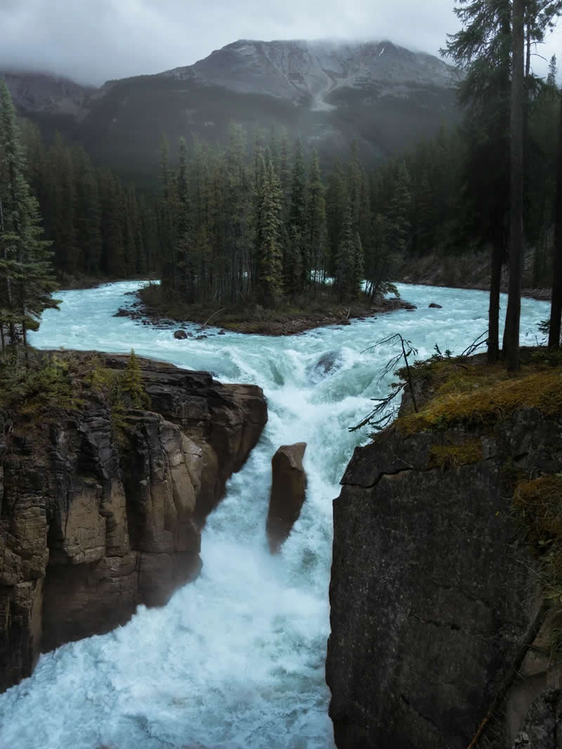 A powerful glacial river crashes through a rocky canyon below a forested island, surrounded by evergreen trees and misty mountains in the Canadian Rockies under an overcast sky.
