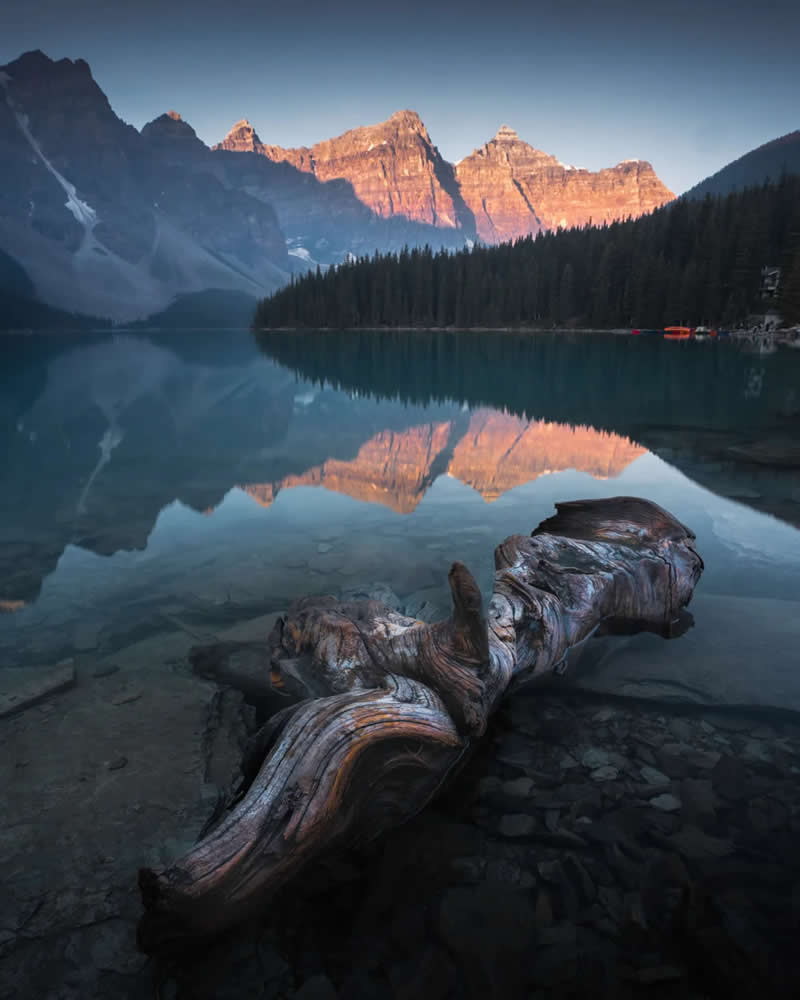 A weathered driftwood log rests in the clear waters of a calm alpine lake, reflecting sunrise-lit mountain peaks and evergreen forests in the Canadian Rockies.