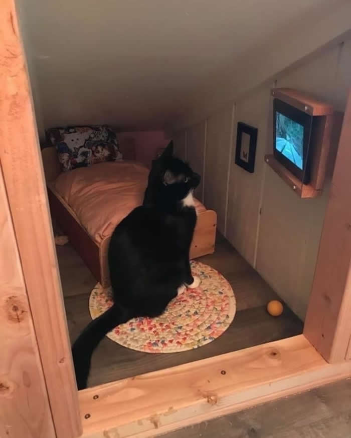 A black-and-white tuxedo cat sitting inside a miniature cat bedroom complete with a tiny bed, round rug, and wall-mounted television, creating a hilarious scene of a cat enjoying its own cozy little apartment.