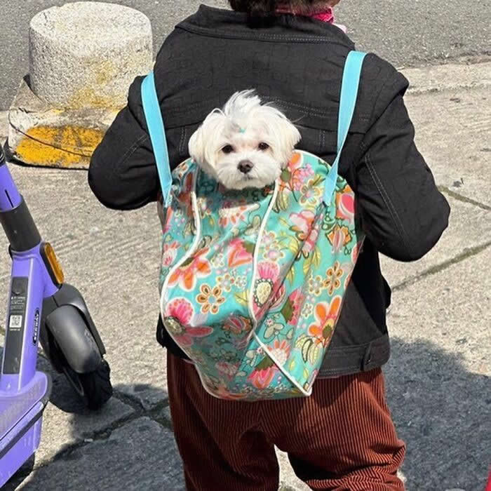 A small white fluffy dog peeks out of a colorful floral tote bag being carried on a person&rsquo;s back while walking outdoors.