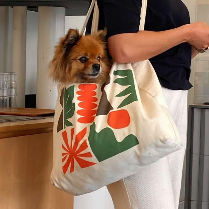 A fluffy brown Pomeranian peeks out of a large cream tote bag with colorful graphic prints while being carried indoors by a person.