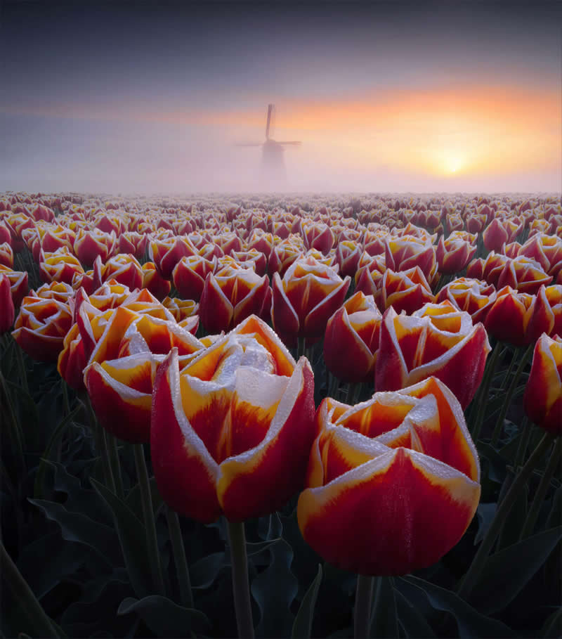 Dramatic Landscape Photography by Max Terwindt