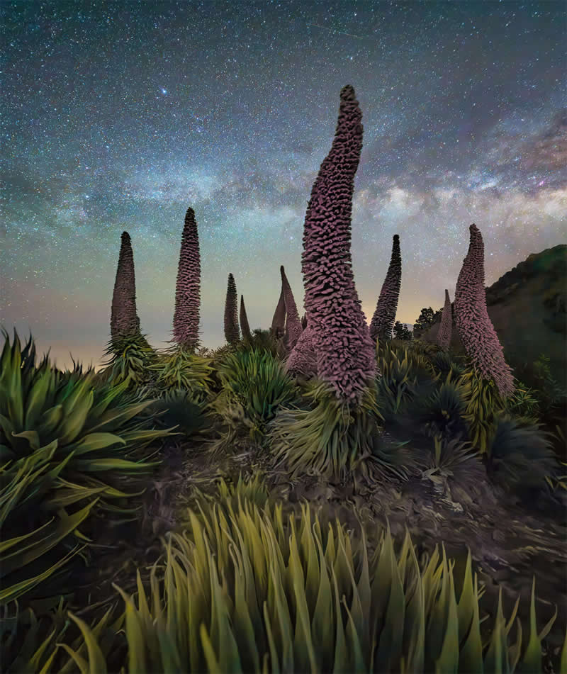 Dramatic Landscape Photography by Max Terwindt