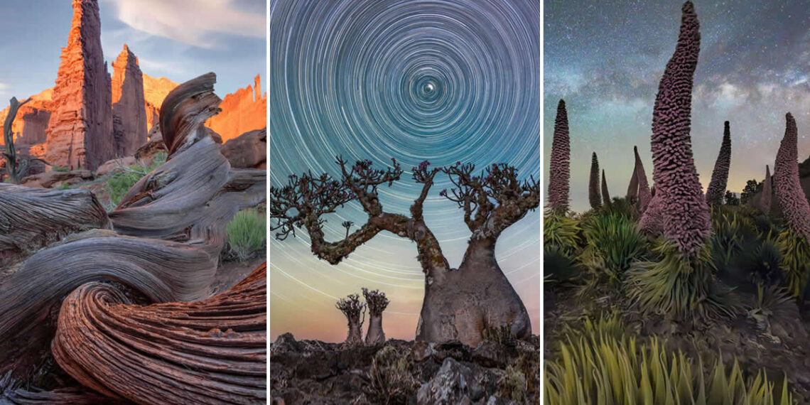 Dramatic Landscape Photography by Max Terwindt