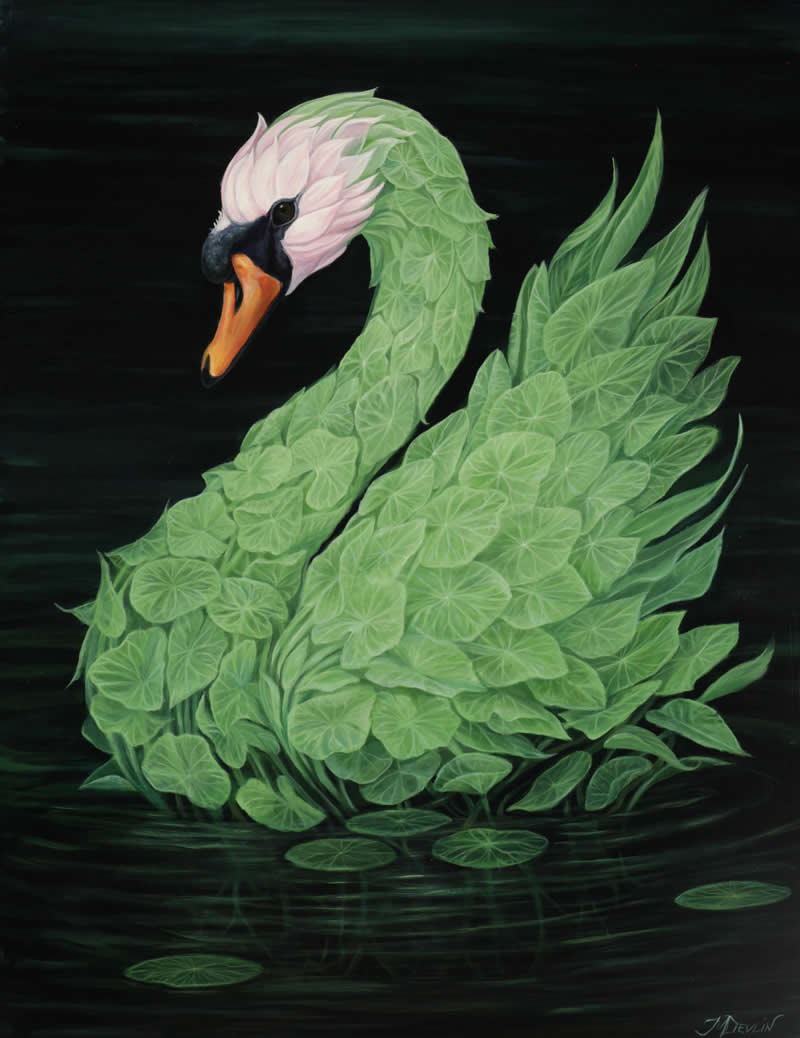 30 Mesmerizing Wildlife Paintings by Molly Devlin Filled With Flowers, Feathers, and Fantasy 40 Nymphaea Bloom - Wildlife Paintings by Molly Devlin