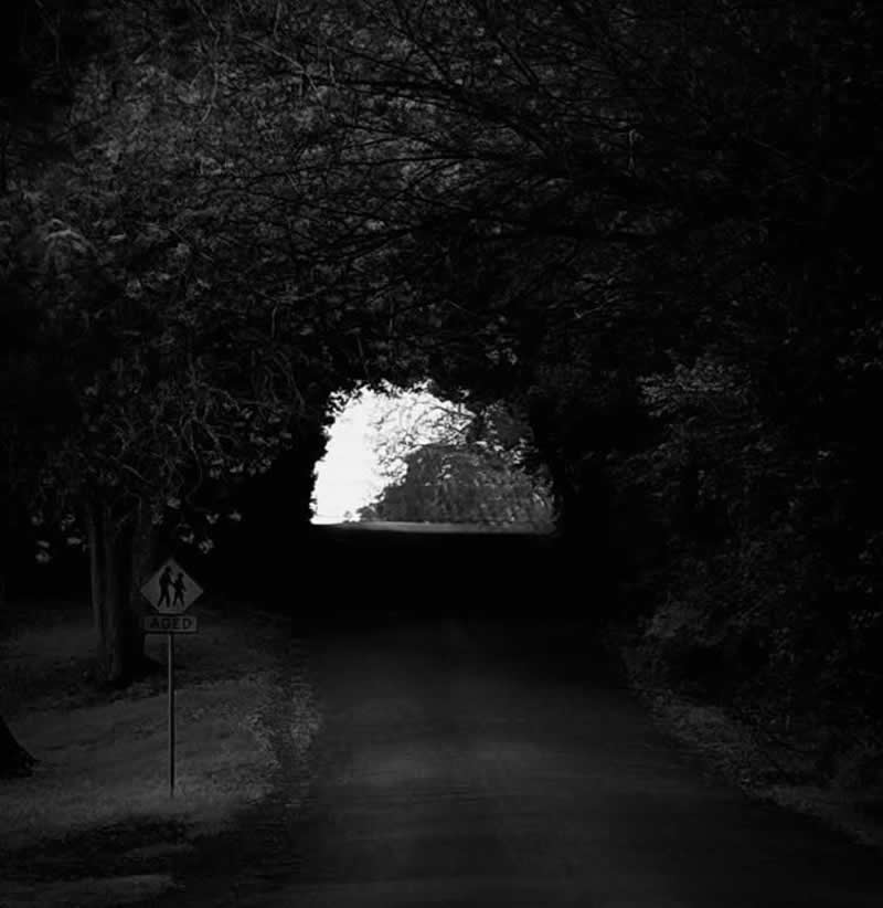 Gurushots Mostly Black Winners Photo Challenge