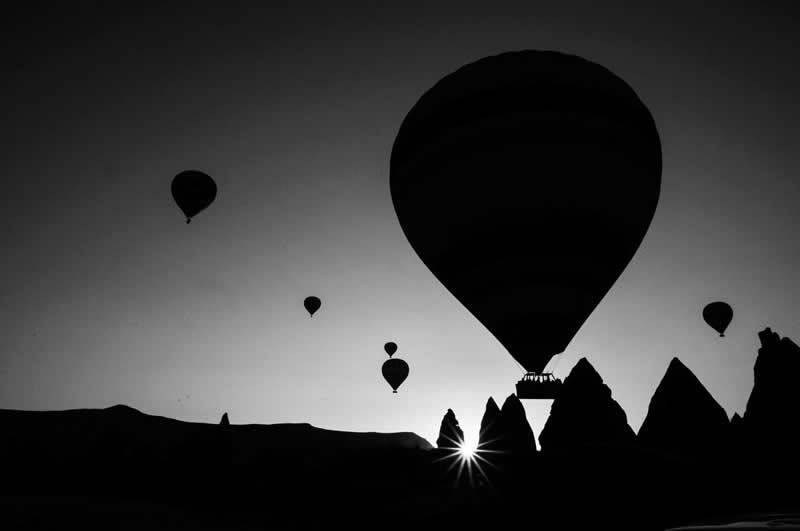 Gurushots Mostly Black Winners Photo Challenge