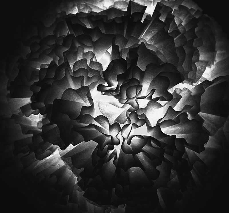 Gurushots Mostly Black Winners Photo Challenge