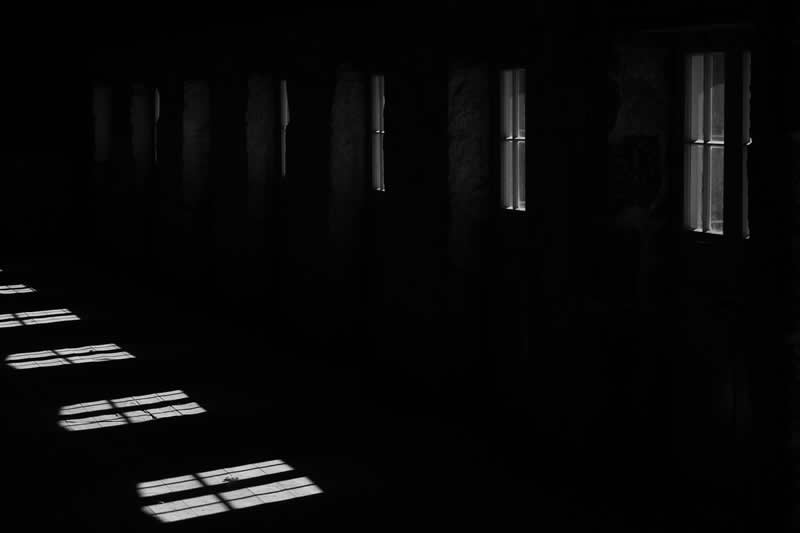 Gurushots Mostly Black Winners Photo Challenge