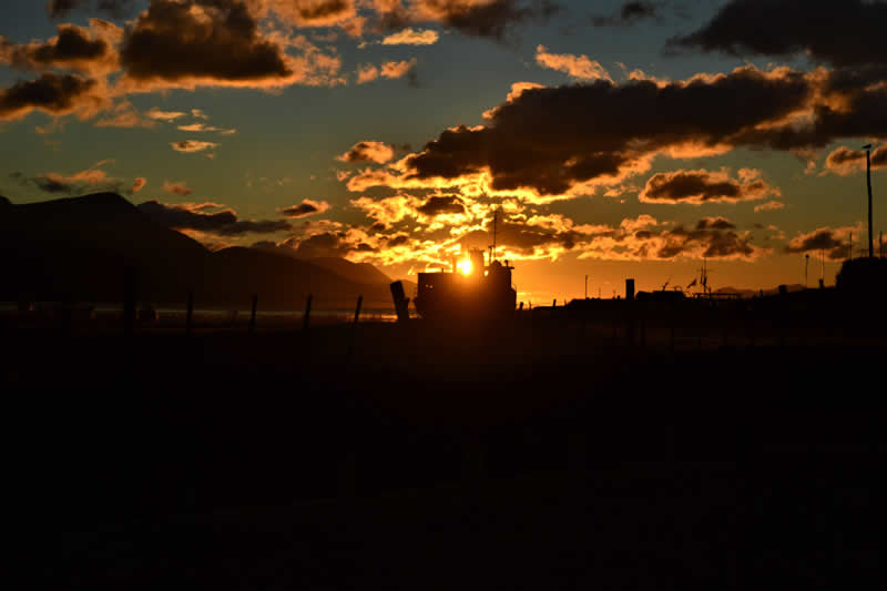Gurushots Mostly Black Winners Photo Challenge